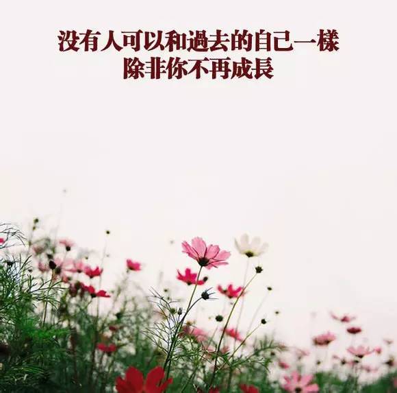 将来的你，一定会感激现在拼命的自己(图6)