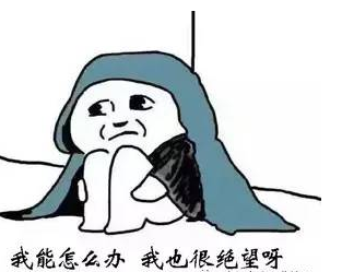 今天,力全女神们收到一份又惊又喜的礼物~(图1)