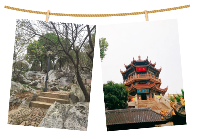 力全团建 | 烟波浩渺环岛游，欢声笑语余音绕(图20)