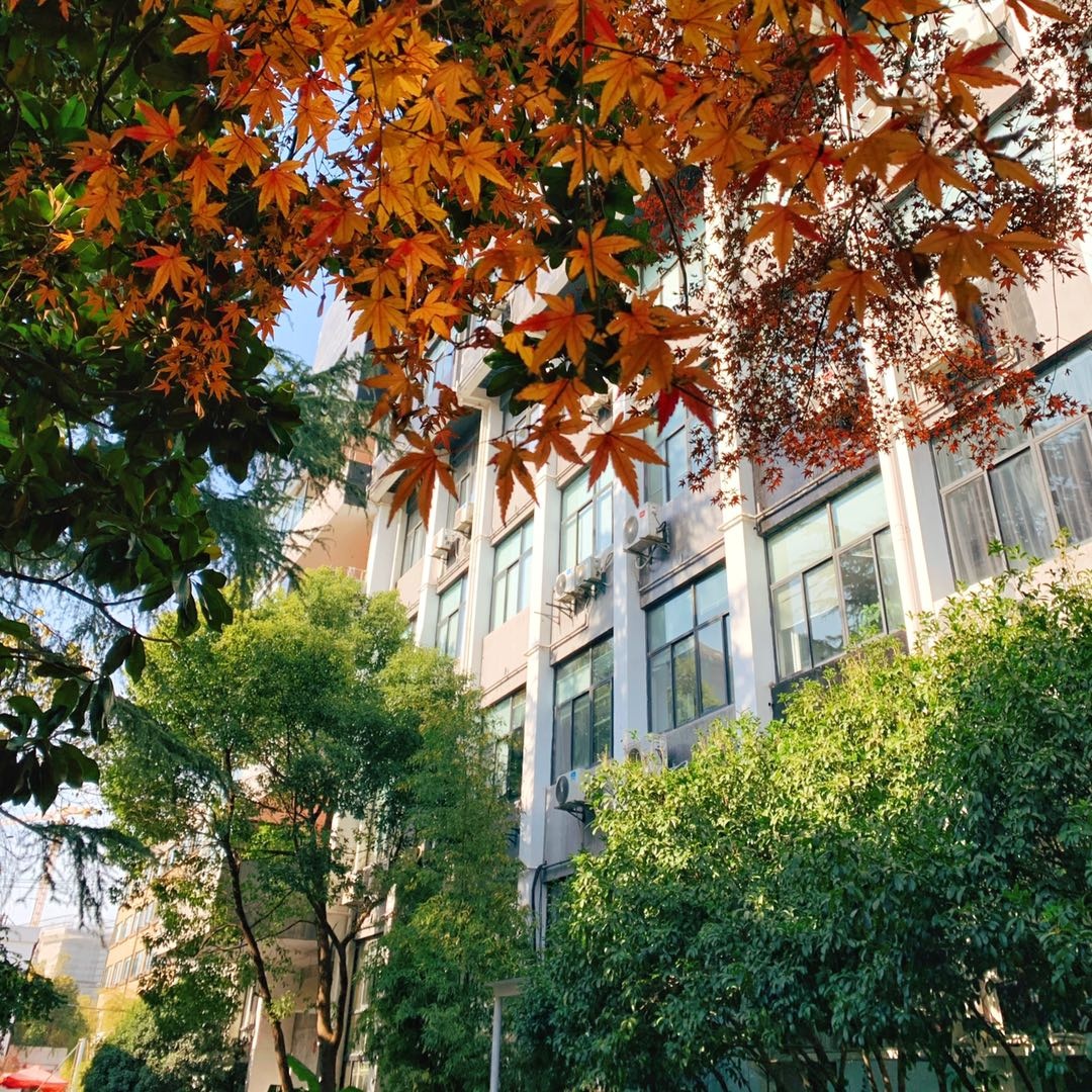 徐汇德必易园100平精装修现房出租上海火车站上盖(图3)