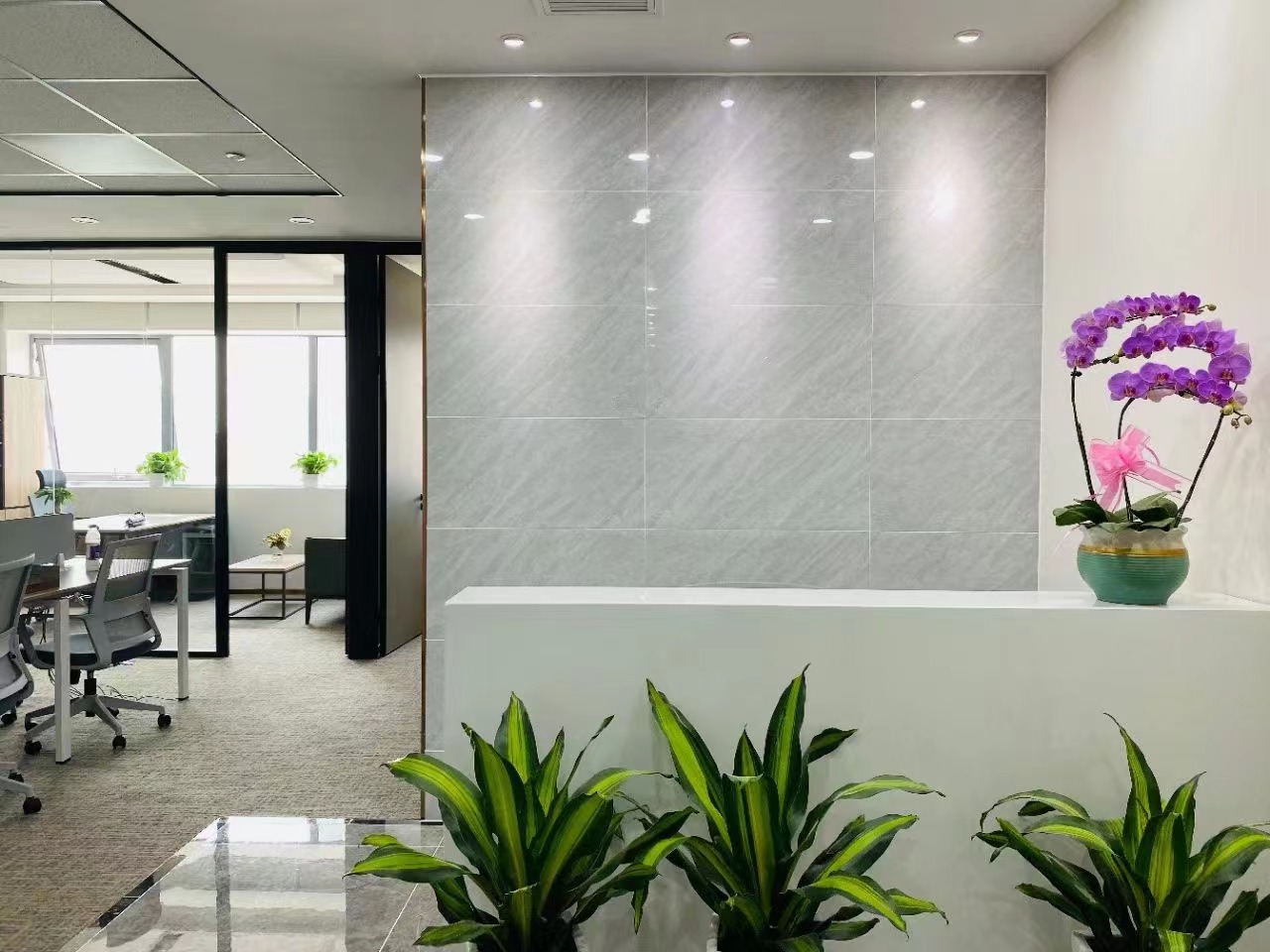 曹杨路我格广场200平精装修带家具拎包入住房型方正(图1)