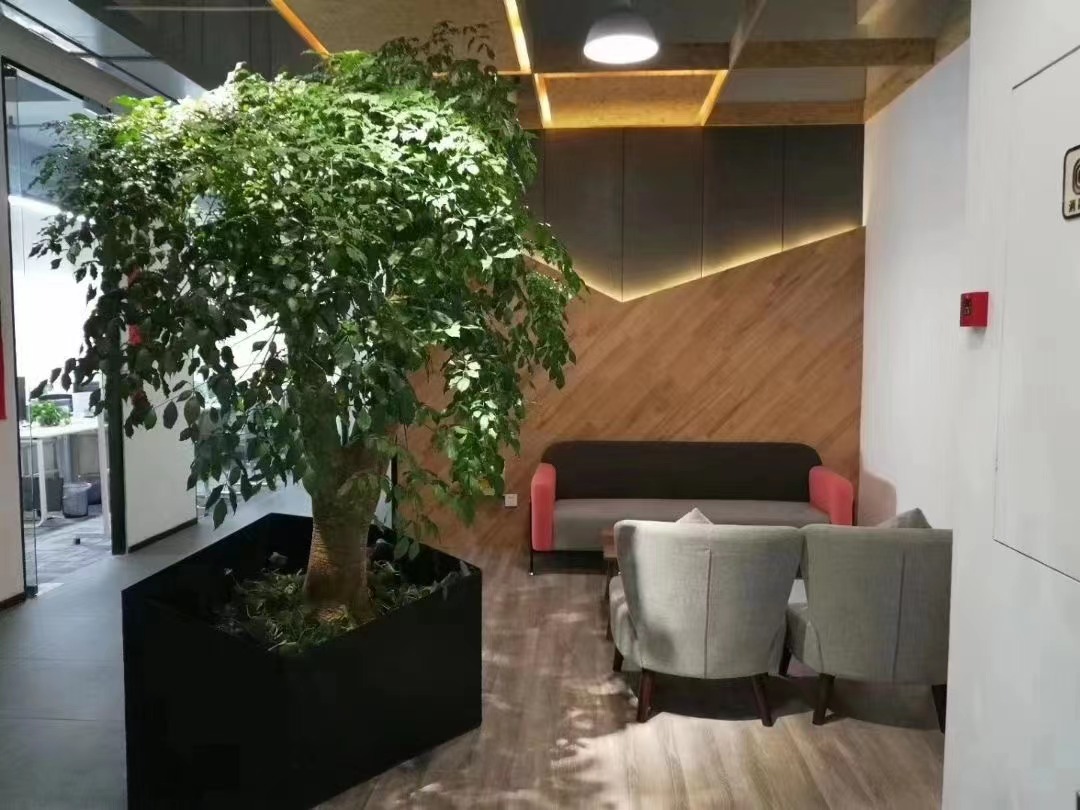 漕河泾钦江园180平现房带装修拎包入住带上下水24小时独立空调(图3)