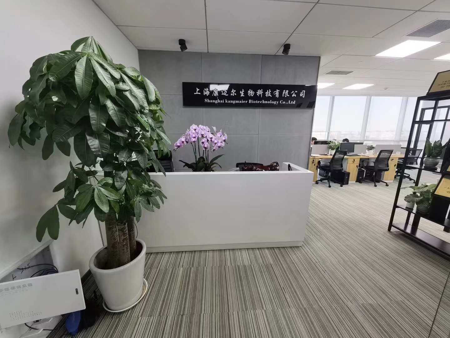 长宁东方世纪大厦306平精装修带家具优质房源出租(图2)